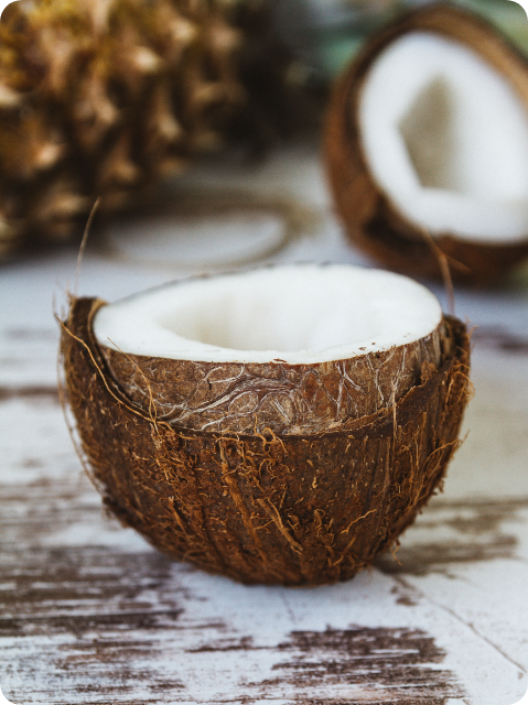 coconuts on a surface